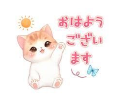 [お題]from:今年こそFP１級！さん