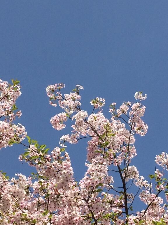 4月12日