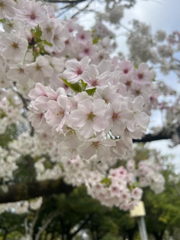 おはようございます&#9825;&#9825;