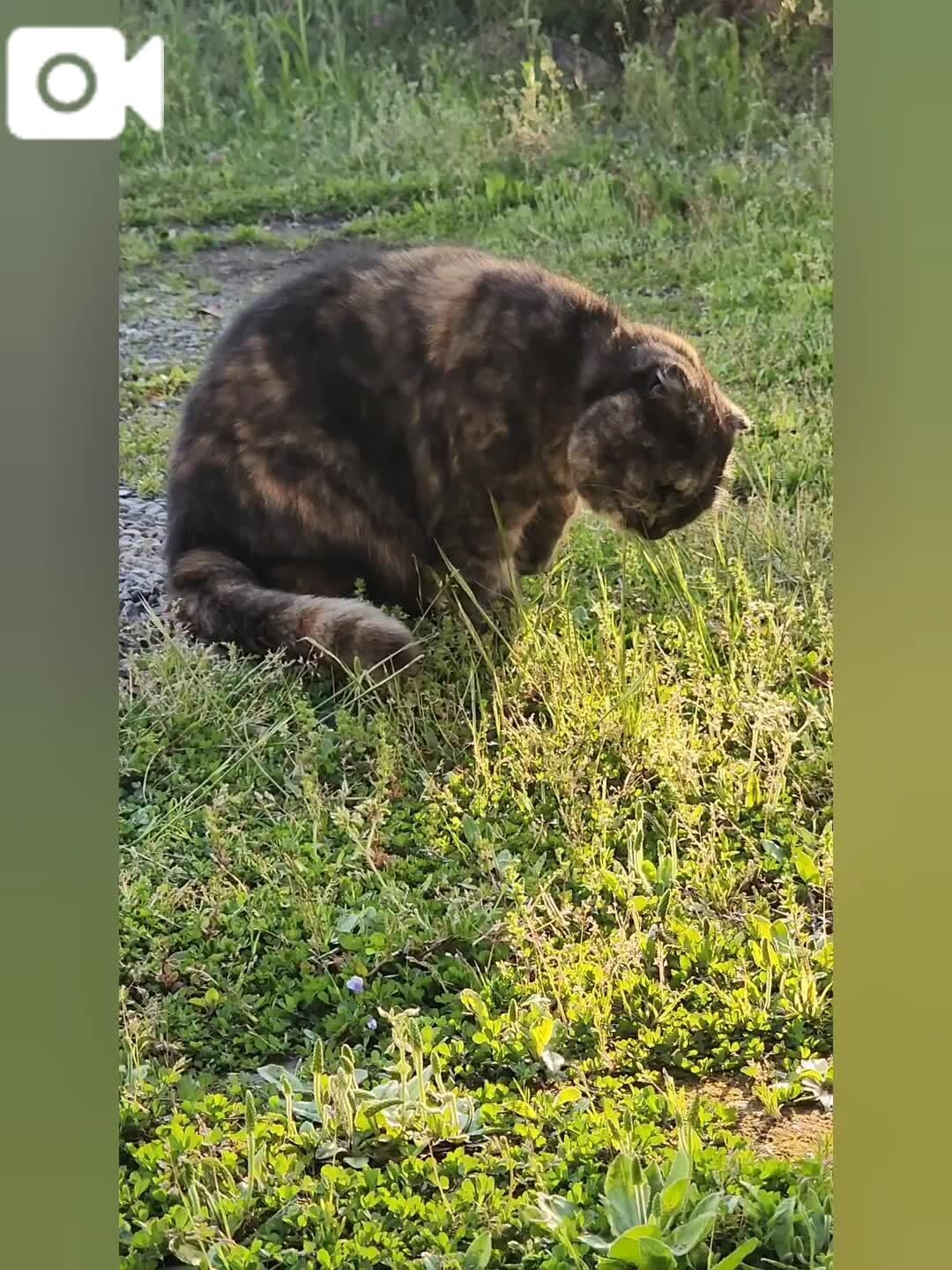 現場監督しながらも。。。&#128049;