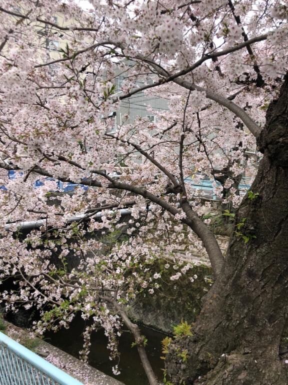 出勤