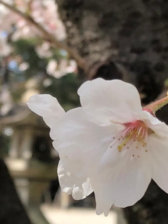 今日はいい天気&#9825;&#9825;.°