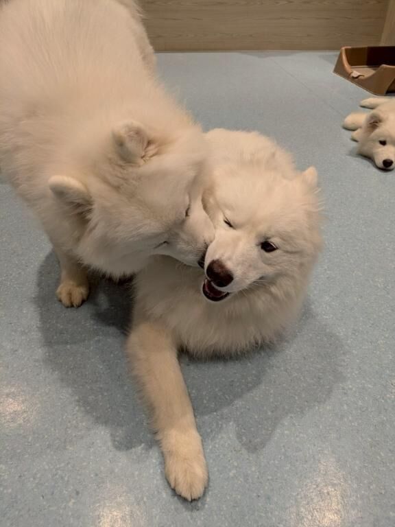 あまりにも、キュート&#128571;