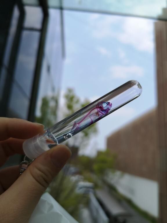 すっっご！