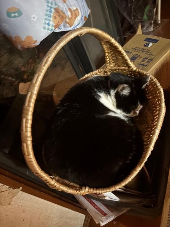 ポカポカすぎて