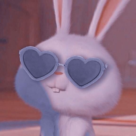 &#128049;&#128150;