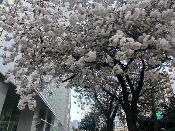 初めまして