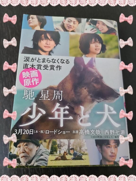 少年と犬