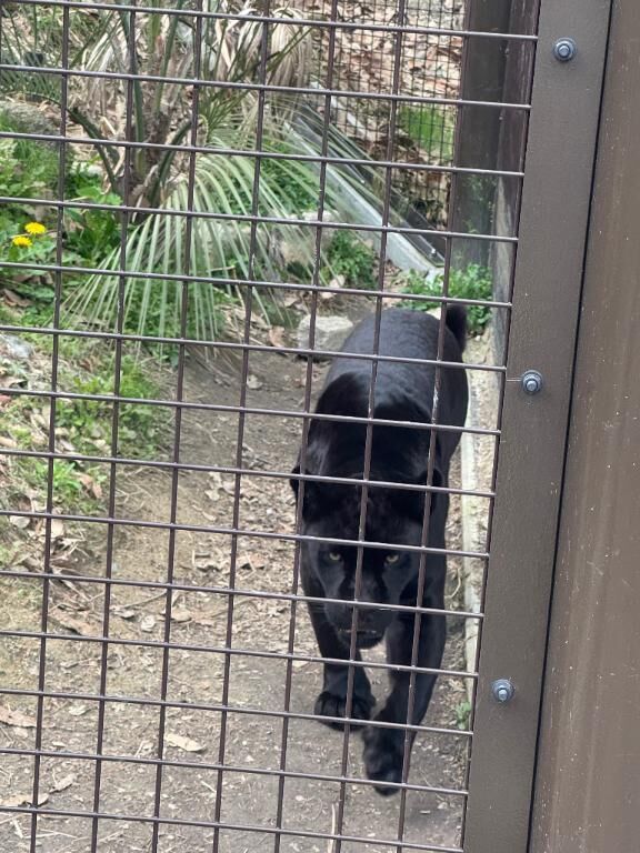 動物園行ったよ！！(≧∇≦)