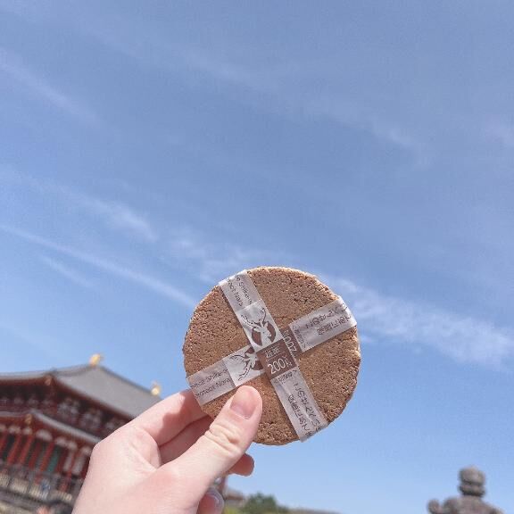 リベンジ&#128293;&#8902;&#859;&#10025;
