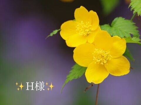 お礼状