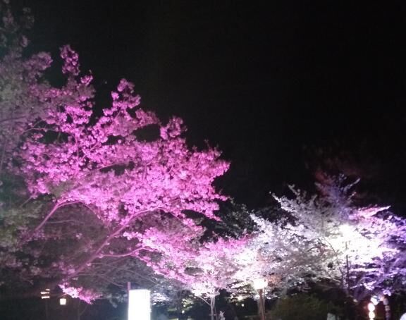 お祭り&#9825;&#9825;&#9825;&#9825;