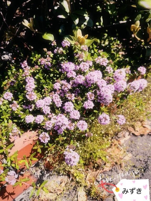 　おはようございます&#9825;