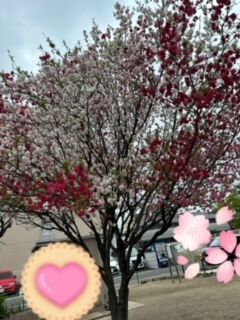 おはようございます