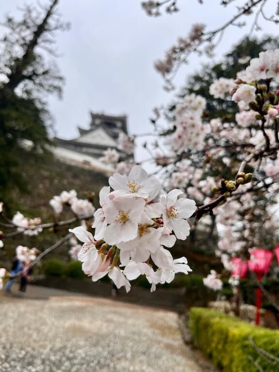 出勤です&#9825;