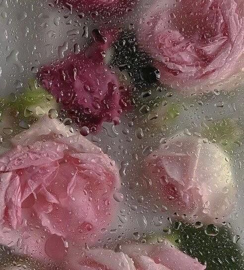 あいにくの雨(  &sdot; &#815;&sdot;  ) &#128173;