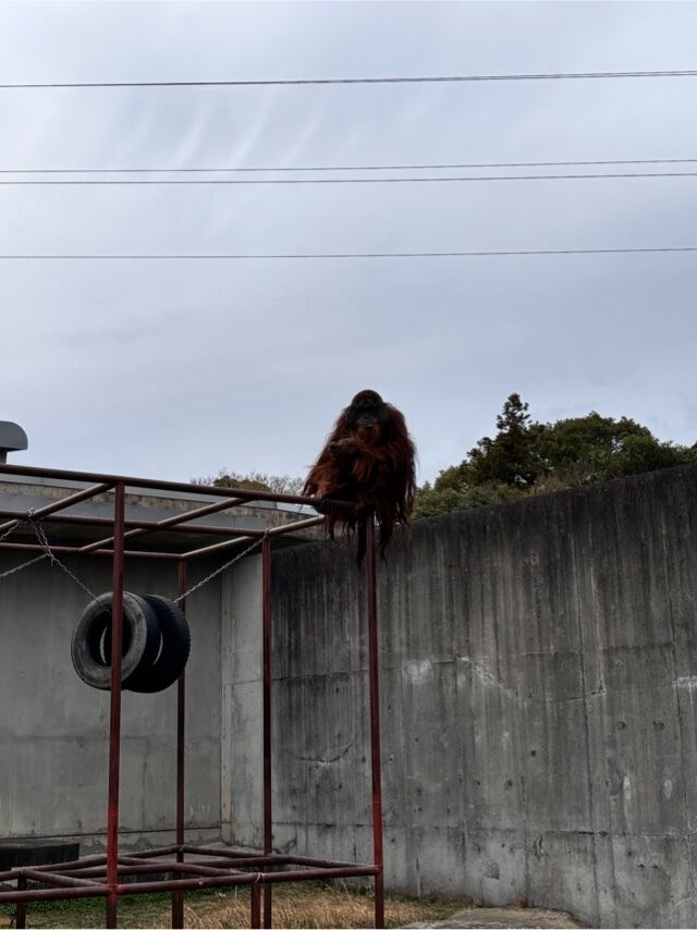 【来たよん】