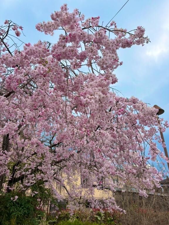 帰り道が幸せ
