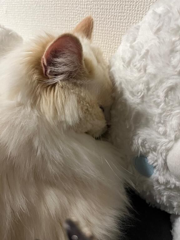 &#9825;
