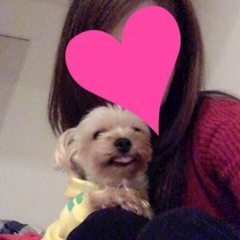 韓国の友達からのサプライズ★