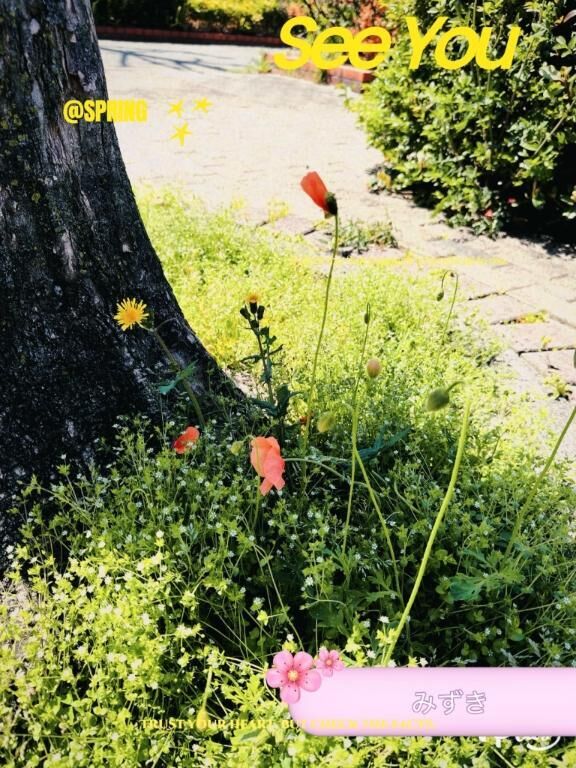 おはようございます&#9825;