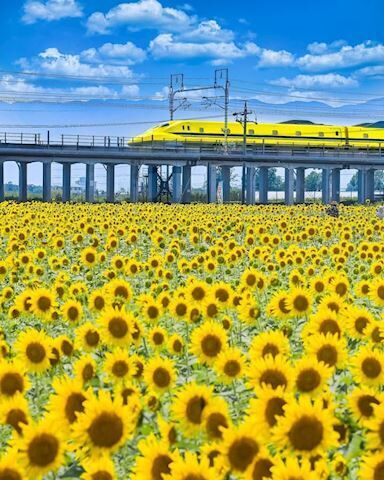 おはようございます♪