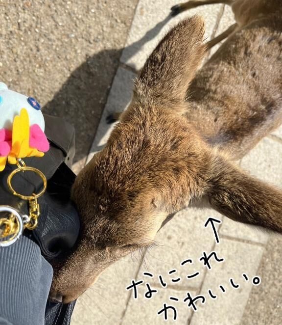 おしり&#127825;