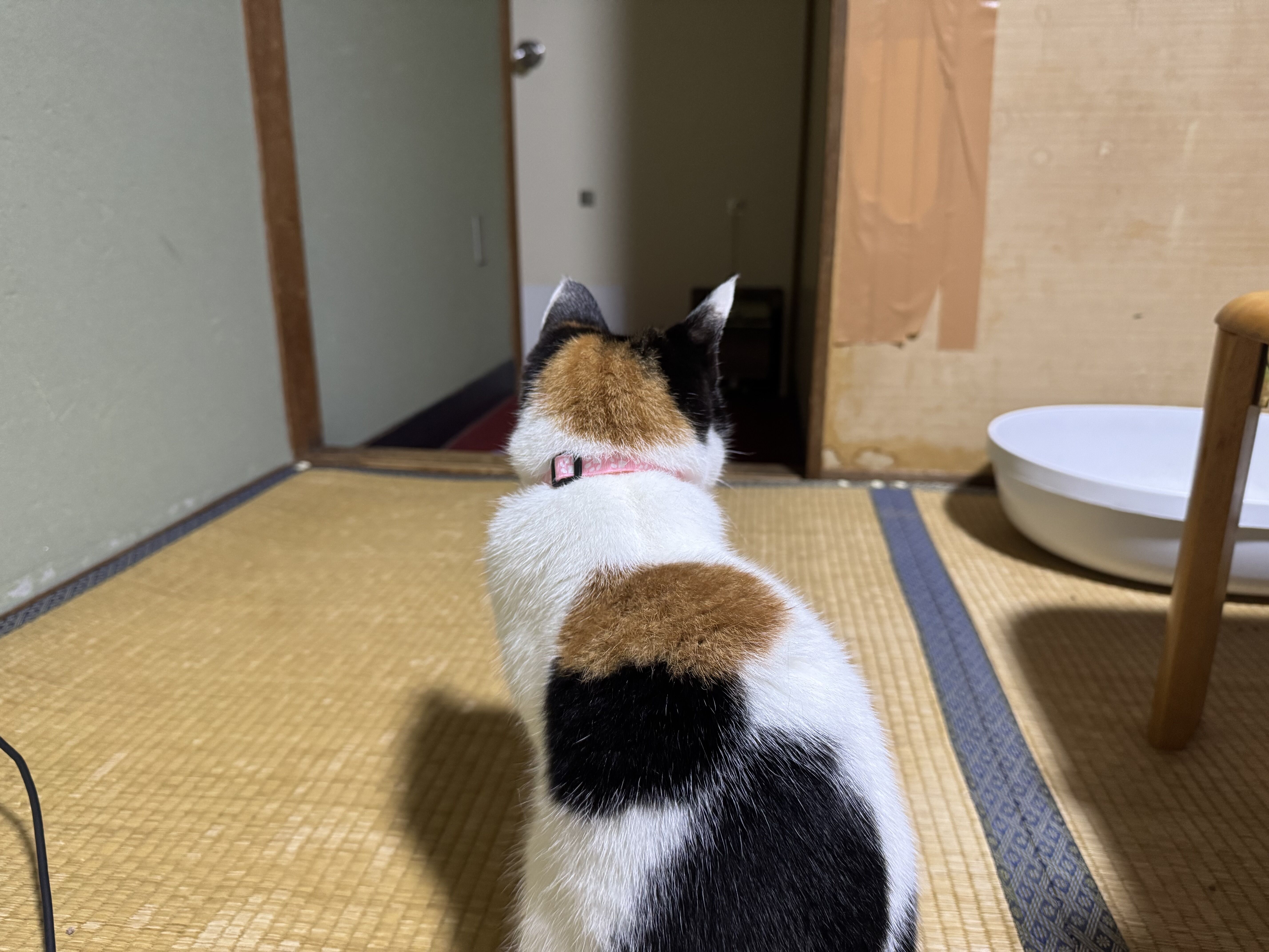ビジネスホテル