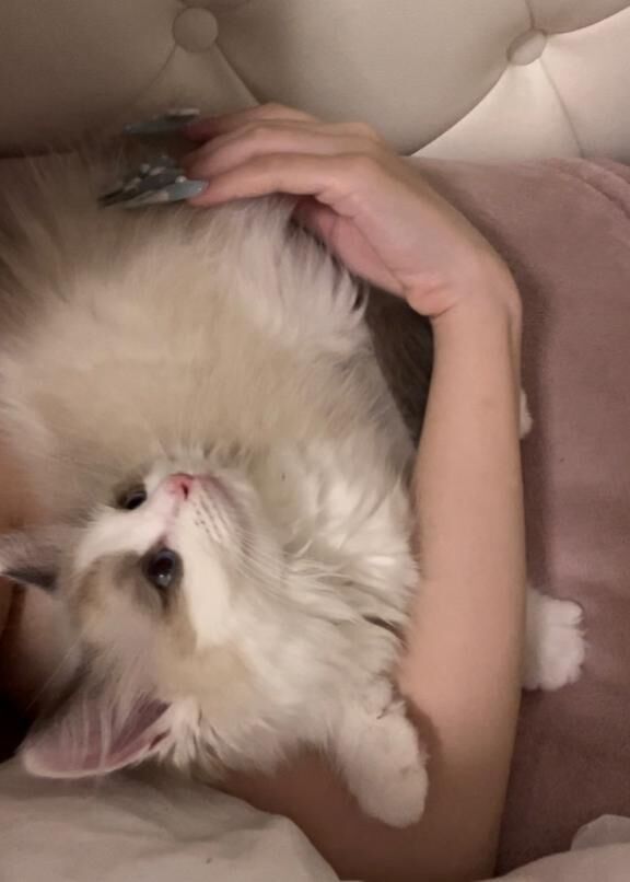 おはよ&#9825;&#9825;