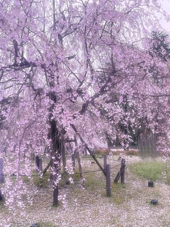 出勤しました&#9825;