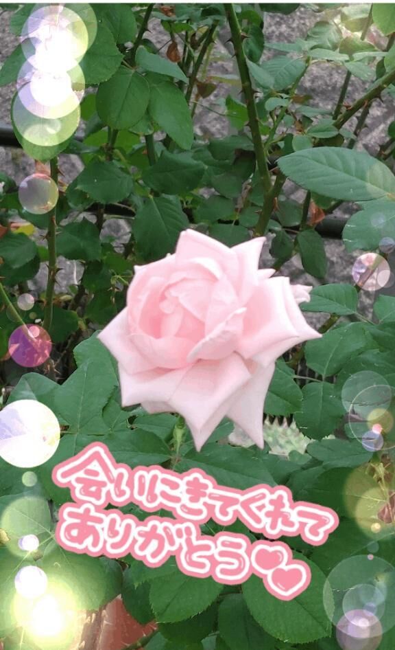 お礼&#9825;