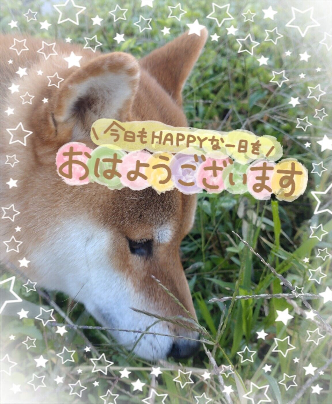 おはようございます&#128522;