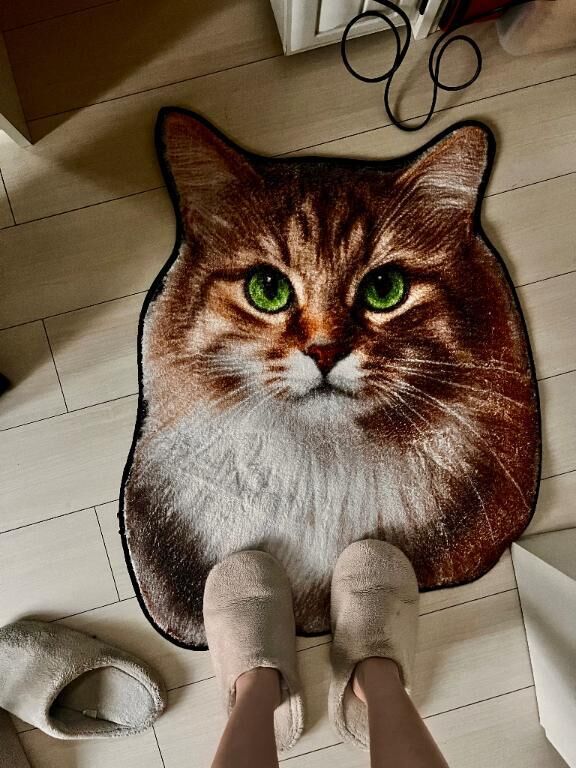 マット