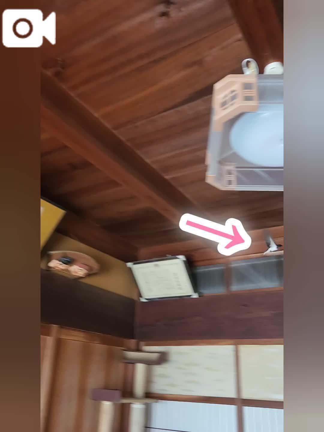 朝のハプニング&#9313;