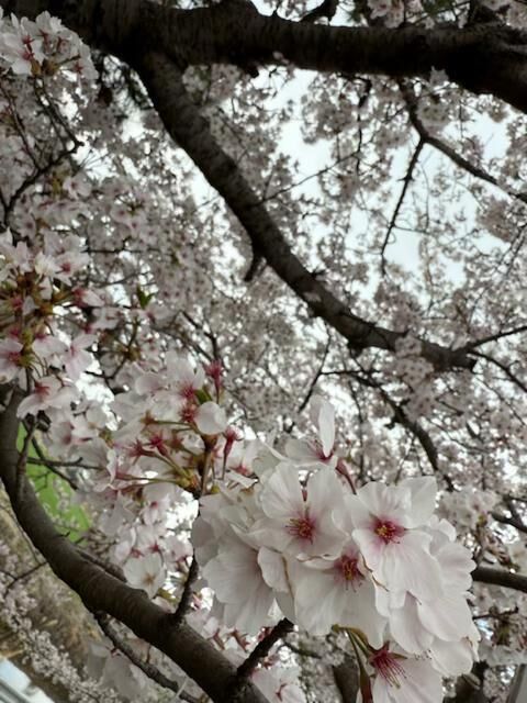 15時10分から空いてます&#9825;