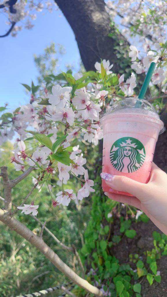 申し訳ありません&#9825;