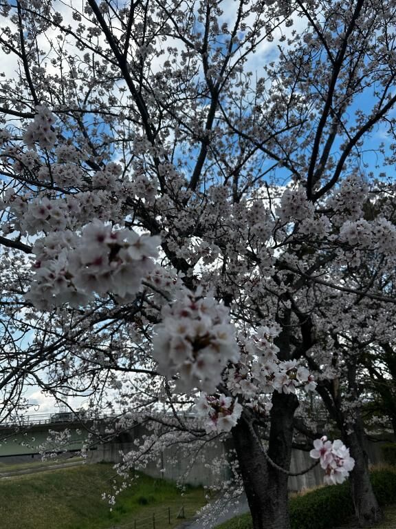 17時から&#9825;&#9825;