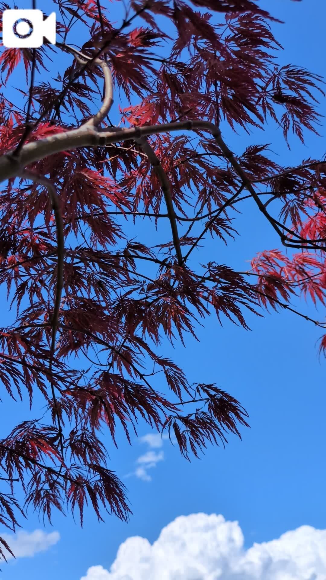 4/14 ありがとう&#9825;