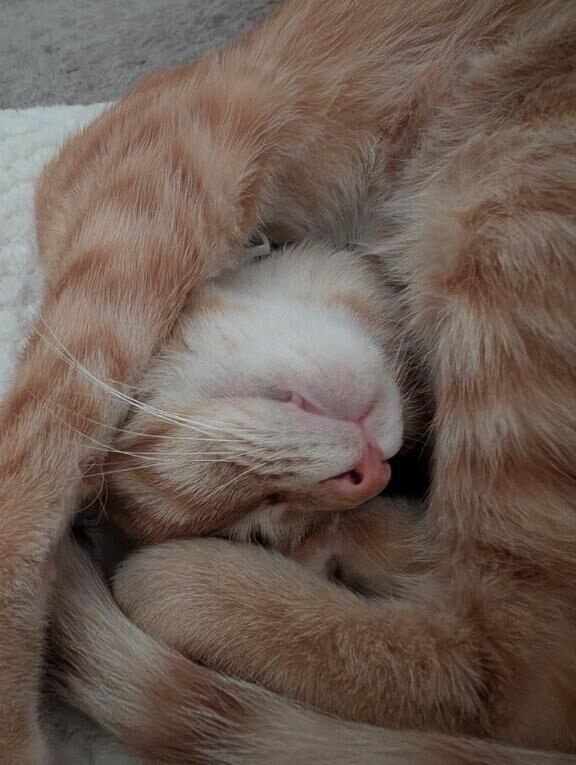 お休みになりました&#9825;