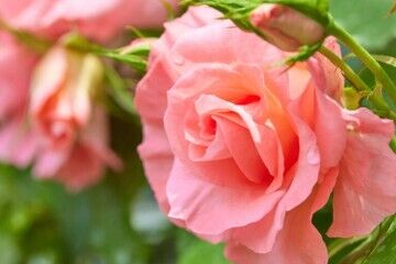 火曜のＩ様　Love letter