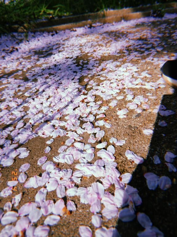 来週から&#128149;