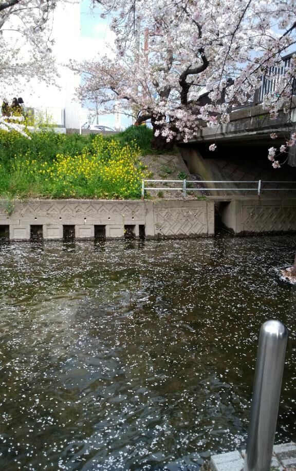 びっくり