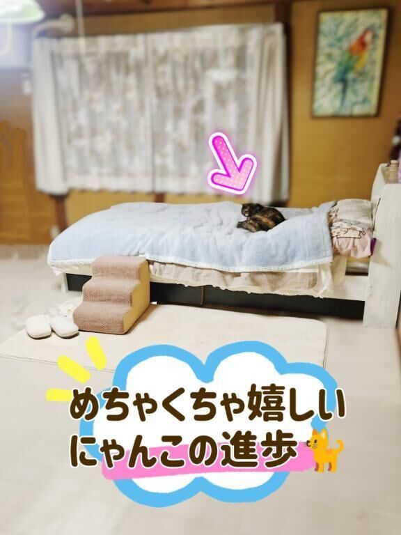 嬉しい進歩&#128557;