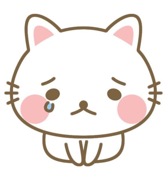ご報告