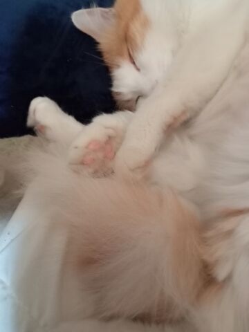 そんな&#9825;