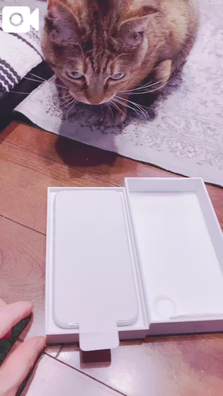 新しいiPhone開封の儀&#128241;&#10024;