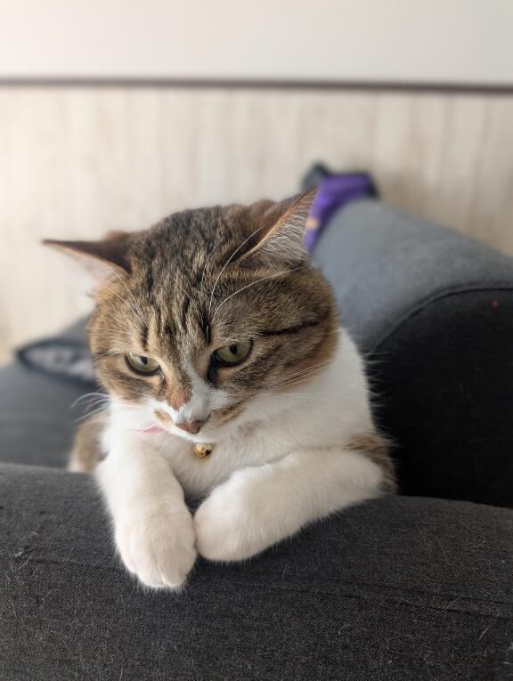 おつかれさま&#9825;&#9825;