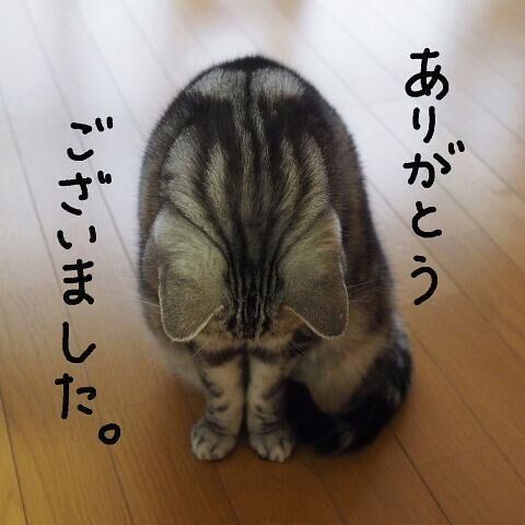 初出勤終了しました〜！！