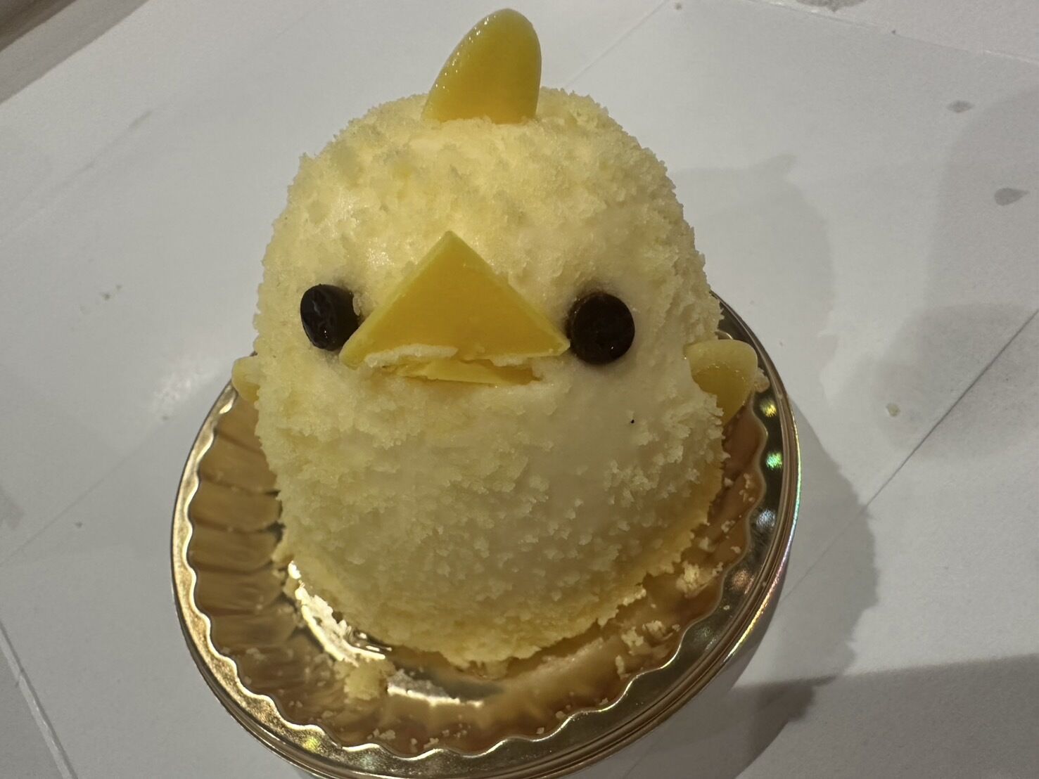 今日は