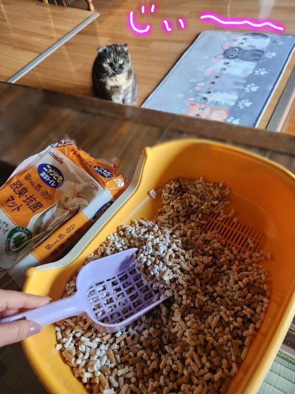 趣味・現場監督&#128049;